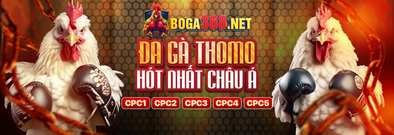 Hướng dẫn người mới bắt đầu acb8 bet với giao diện hiện đại và các trò chơi hấp dẫn