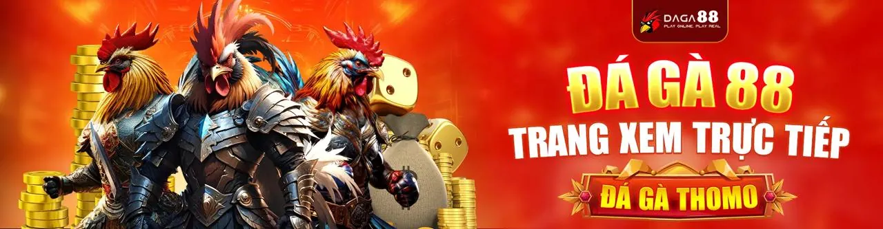 Đá Gà Trực Tuyến Sôi Động tại acb8 bet