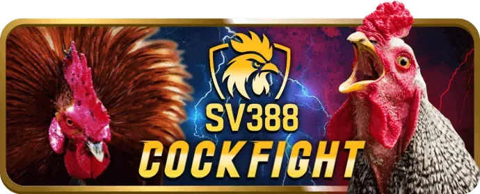 Đội ngũ hỗ trợ khách hàng chuyên nghiệp của acb8 bet